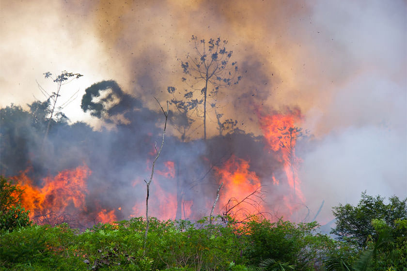 آتش‌سوزی در جنگل‌های آمازون همچنان ادامه دارد