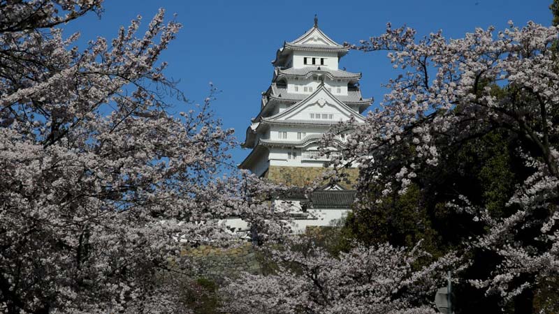 قلعه هیمجی (Himeji Castle) ژاپن