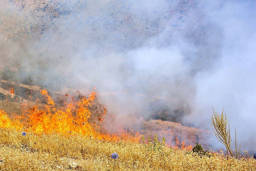 مهار آتش در ارتفاعات جنگلی کازرون و کهمره سرخی شیراز 