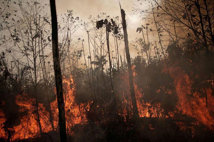 شناسایی علت آتش‌سوزی‌های ۲۰۱۹ آمازون با کمک اطلاعات ماهواره‌ای