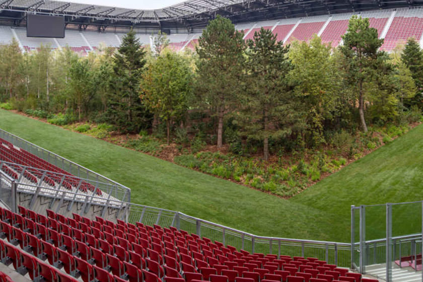 هنرمندی سوئیسی، استادیوم فوتبال را به جنگل تبدیل کرد