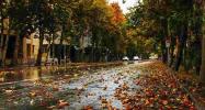 مسیر پیاده روی خیابان ولیعصر در پاییز