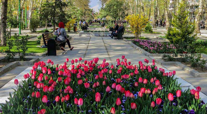 گل های صورتی در پارک ملت تهران