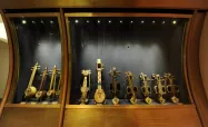 سالن سازهای زهی موزه موسیقی