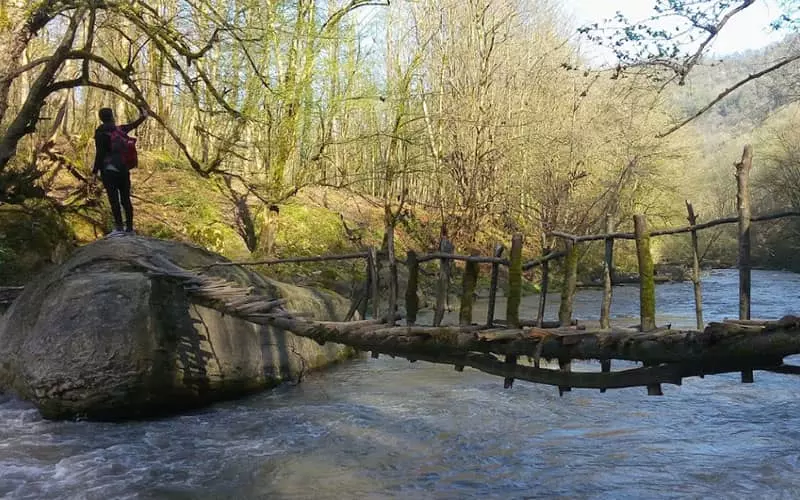پلی چوبی روی رودخانه ای در دل جنگل