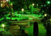 نمای سبزه های پارک ساعی در شب