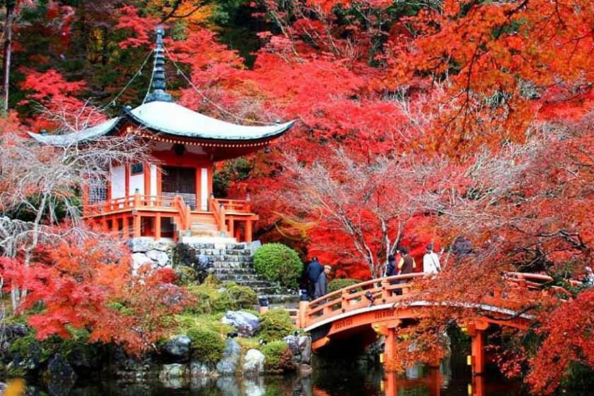 ژاپن از اوایل پاییز مرزهای خود را به روی مسافران بین المللی باز می‌کند