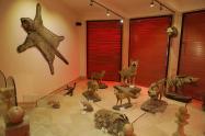 روباه و کفتار در موزه داراباد