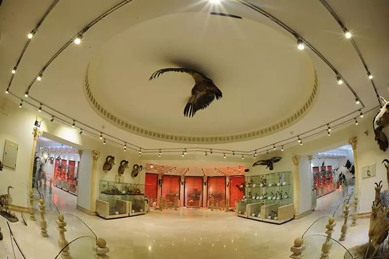 موزه حیات وحش داراباد