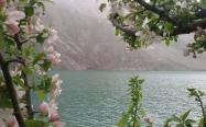 حال و هوای دریاچه گهر در فصل بهار