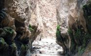 صخره های خزه بسته در مسیر چشمه مرتضی علی