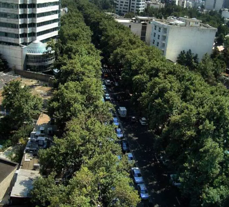 خیابان ولیعصر از نمای بالا در میان درختان