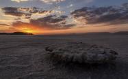 غروب خورشید در دریاچه نمکی ارومیه