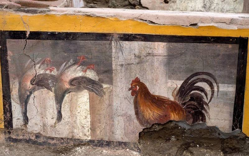 نقاشی خروس و اردک روی دیوار پیشخوان یک فست فود باستانی