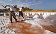 جمع آوری نمک های دریاچه ارومیه