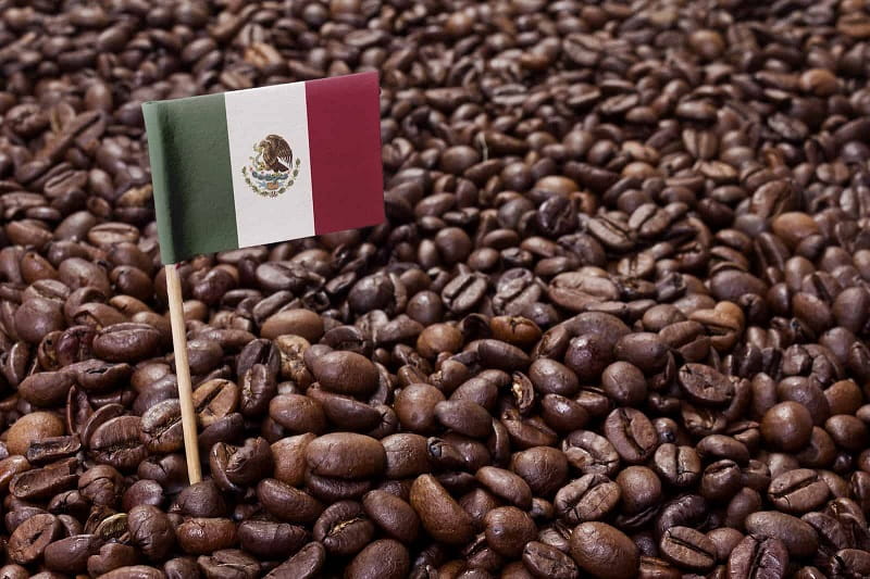 تاریخچه قهوه مکزیک