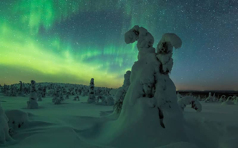 درختان زیر برف در کنار شفق قطبی فنلاند