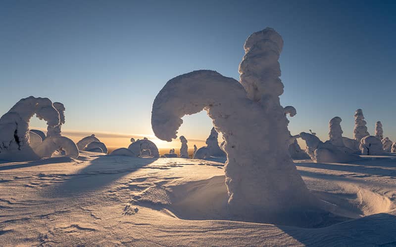 درختانی پوشیده از برف به شکل های عجیب و غریب در فنلاند