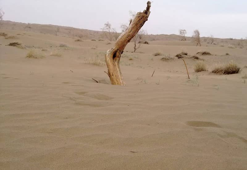 کویر حلوان طبس