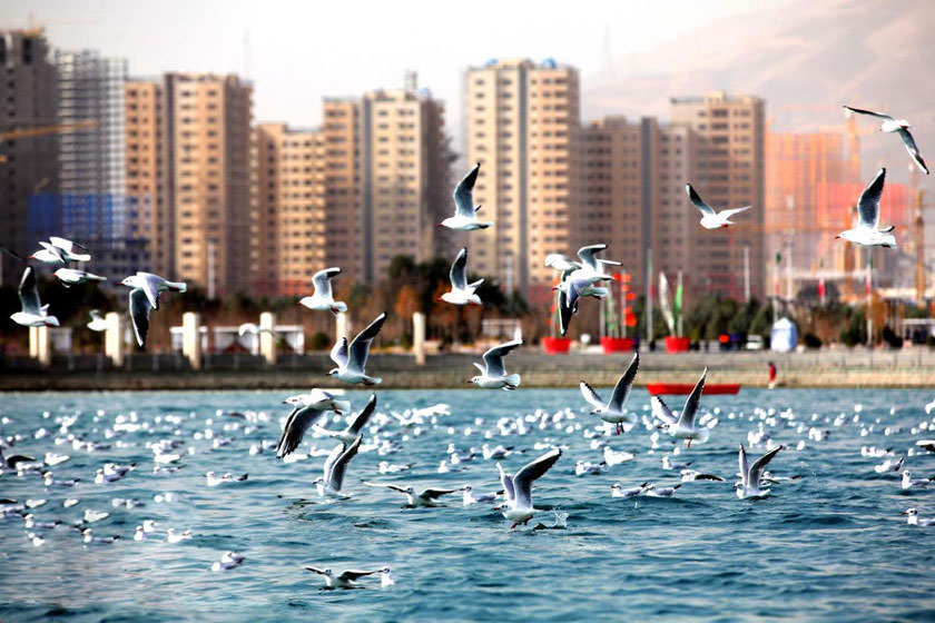 دریاچه چیتگر؛ جاذبه ای دیدنی در پایتخت