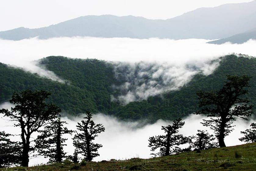 ورود گردشگر به جنگل‌ ابر به‌خاطر مقابله با کرونا ممنوع شد