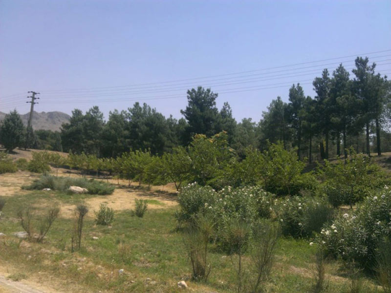 پارک سرخه حصار