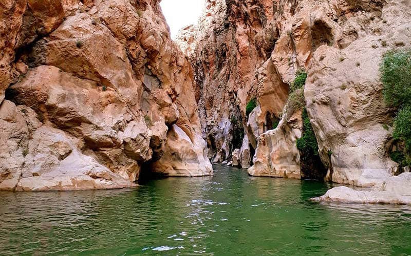 تنگ لی لی یا سورپیلو