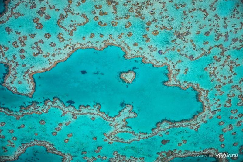 عکس هوایی از دیوار بزرگ مرجانی استرالیا