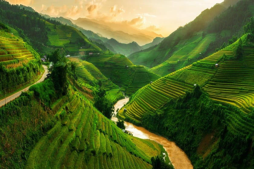 ویتنام درهای خود را از ماه آینده به روی تعداد محدودی از گردشگران می‌گشاید