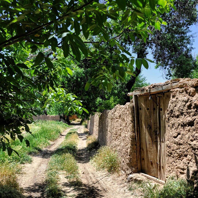 کوچه باغ های روستای خورهه