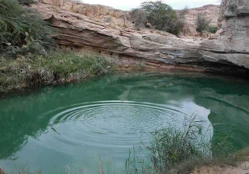 هوباد چک چک  در کوهستان پارک پنچه علی در استان هرمزگان