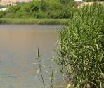 دریاچه اوان قزوین