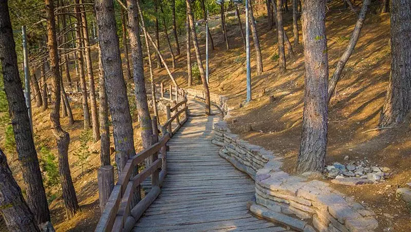 مسیر پیاده‌روی چوبی پارک طالقانی