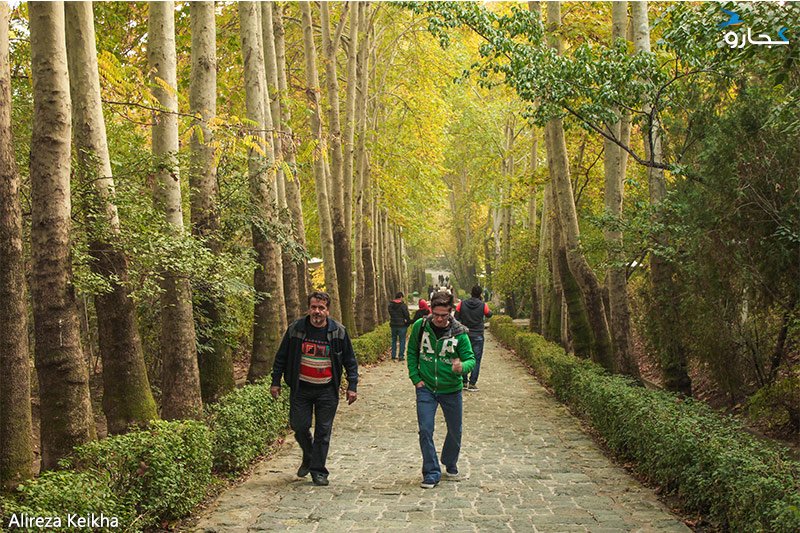 پیاده روی در پارک جمشیدیه تهران