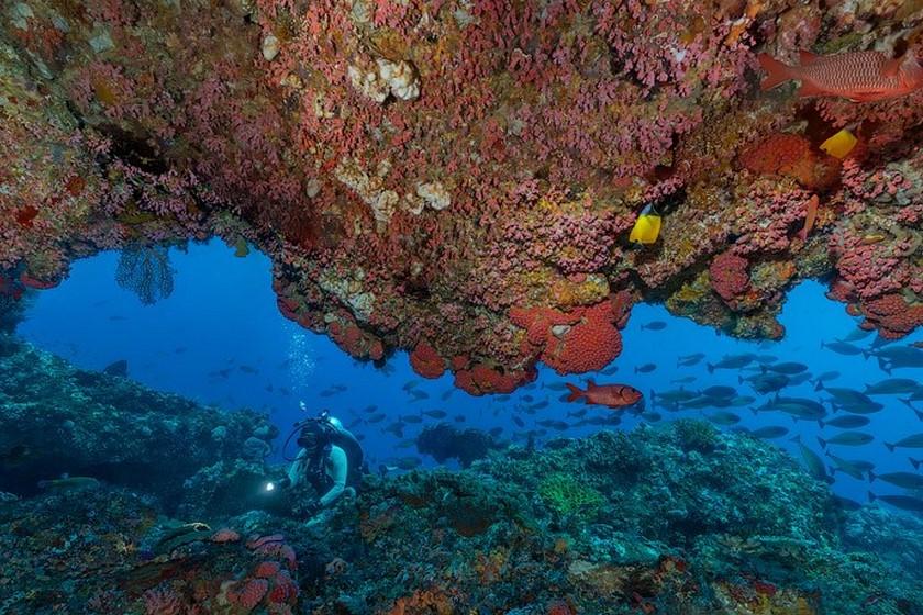 با تور مجازی به اعماق آب‌های جزیره کومودو سفر کنید