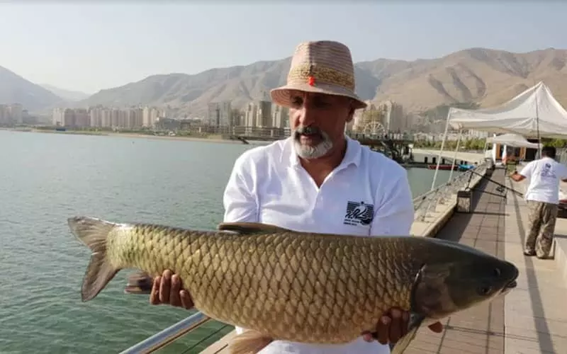 مردی در کنار دریاچه با ماهی بزرگی در دستش