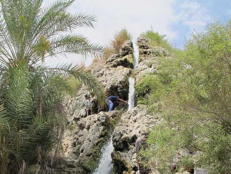 نمایی از آبشار تزرج بر فراز تپه کنار درخت مخل