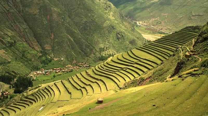 تراس های کشاورزی سرسبز در کوه های ماچو پیچو