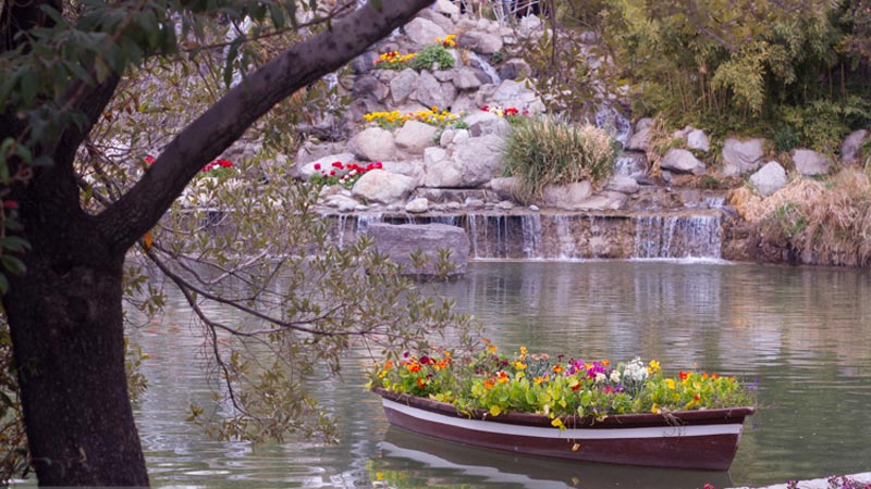 منظره دریاچه باغ گل‌های اصفهان در بهار