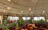 رستورانی بزرگ با سقف بلند گنبدی و انواع گلدان های سرسبز
