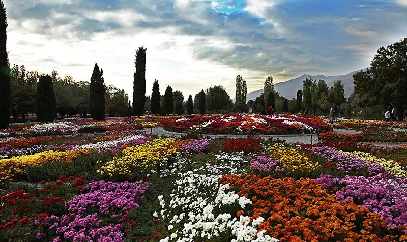 Colorful flowers of Tehran Botanical Garden