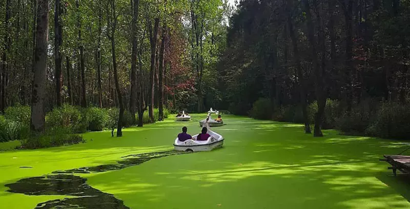 قایق سواری در میان درختان دریاچه سبز سراوان