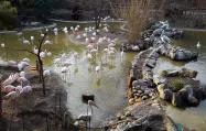 آلاچیق باغ پرندگان تهران