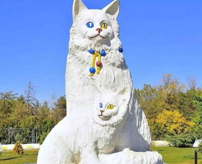 مجسمه دو گربه سفید با چشم های آبی و خردلی