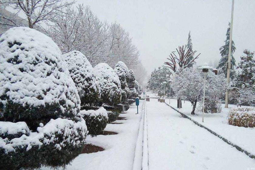 برف بازی در تهران | معرفی بهترین مکان‌ها + عکس و آدرس