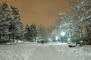 پارک ملت پوشيده از برف در شب