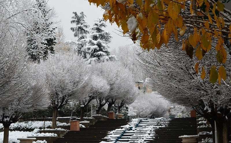 طبیعت زیبا و رنگارنگ پارک نیاوران در زمستان پوشیده از برف