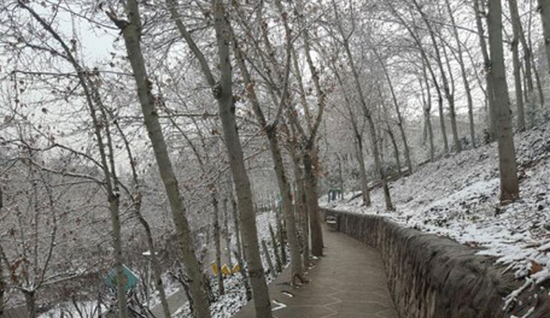 مسیر پیاده روی پارک ساعی در میان برف ها
