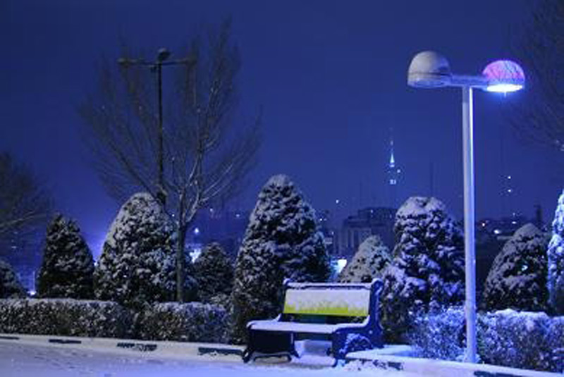 درختان و نیمکت پوشیده از برف پارک طالقانی در شب