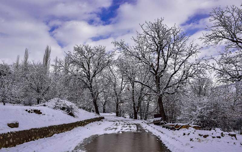 زمستان در روستای سیمین دشت و درختان پوشیده از برف